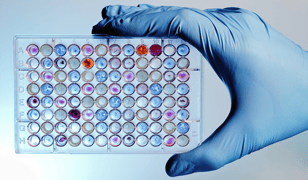 polypropylene-microplate-assay-small-wells-medical