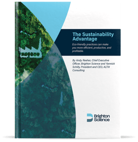 the-sustainability-advantage-ebook-cover-shadow