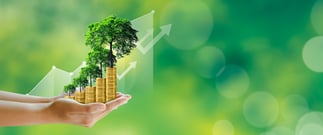 The Sustainability Advantage: Eco-friendly practices can make you more efficient, productive, and profitable.