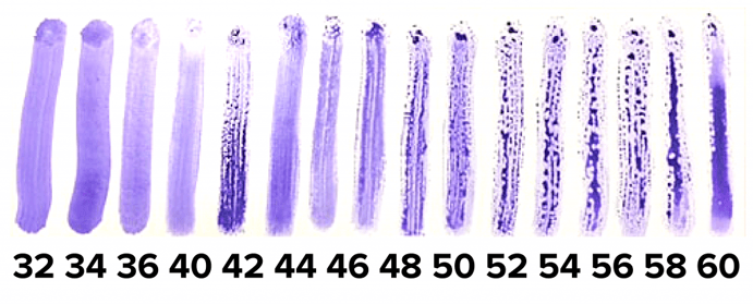 dyne-inks-white-bkgnd-labeled