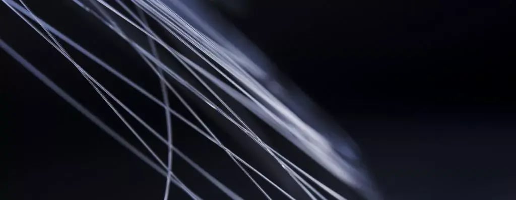 purple-fiber-crop2.jpg