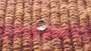 Beauty and Wonder from the Macro to the Micro