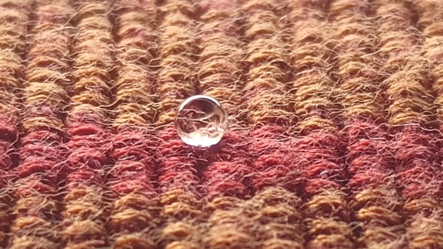 Beauty and Wonder from the Macro to the Micro